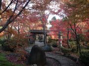 ベラさんの旧朝倉家住宅の投稿写真2