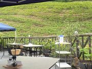 cocoさんのCOCO FARM CAFEの投稿写真2