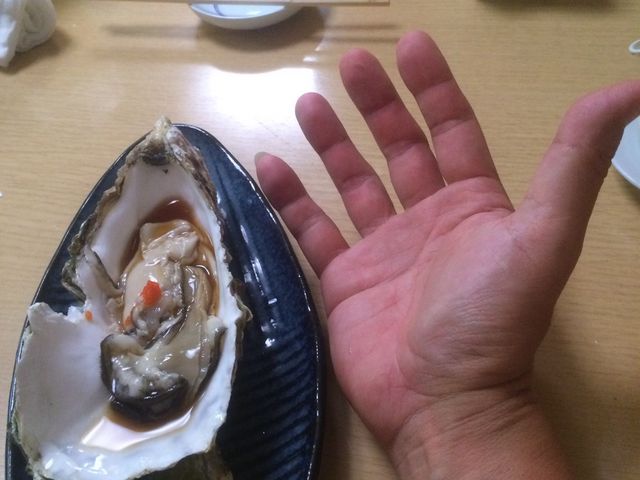 手のひらサイズ_鮨処 つきじや
