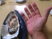RUGBYさんの鮨処 つきじやの投稿写真1