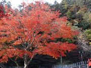 キヨさんの湯のまち雨情公園の投稿写真1