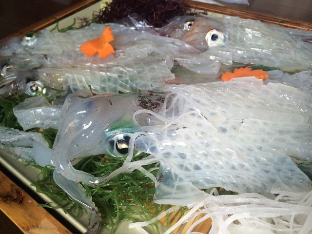 いかの活き造り_大和