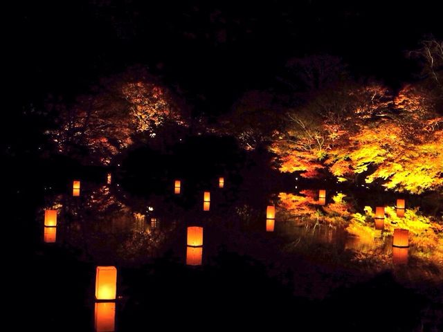 ライトアップ_御船山楽園