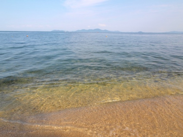 青柳_青柳浜水泳場
