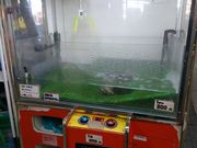 mon-tさんの道の駅 ちくら潮風王国の投稿写真1