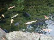 だらさんの見浜園の投稿写真3