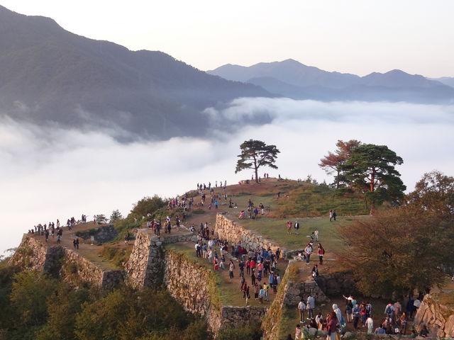 竹田城跡の雲海_竹田城跡の雲海