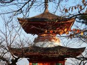 まこさんの多宝塔の投稿写真1