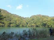 ひろさんの白神の森遊山道の投稿写真2