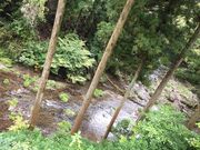スヌープボブさんの秋川橋河川公園バーベキューランドの投稿写真1