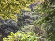 スヌープボブさんの秋川橋河川公園バーベキューランドの投稿写真2