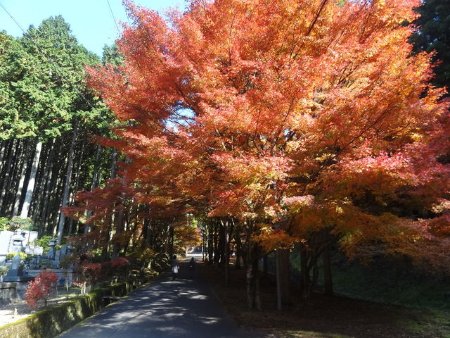 やんまあさんの石龕寺の投稿写真1