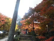 やんまあさんの小新屋観音の投稿写真1