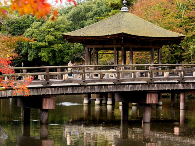 古都の紅葉、定番ですね。_浮見堂
