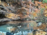 めめちゃんさんの別所温泉(長野県上田市)の投稿写真3