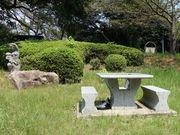 あんずさんの和布刈公園の投稿写真4