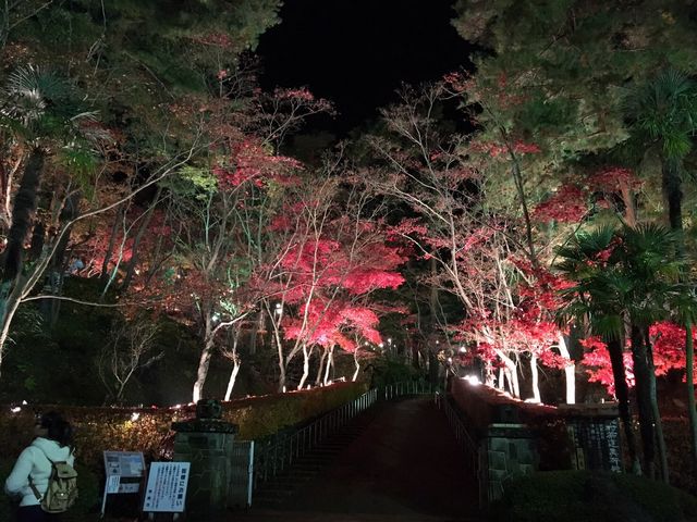 ピークはやや過ぎましたが‥_松雲山荘