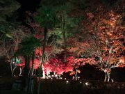 バナナandストロベリーさんの松雲山荘の投稿写真2