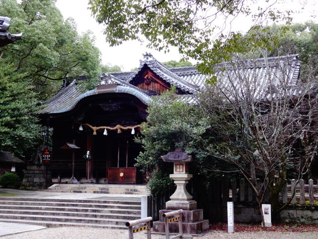 向日神社_向日神社