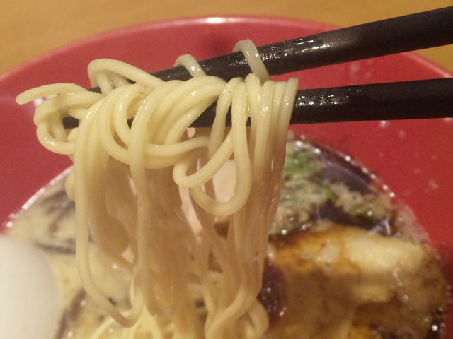 細麺っ_一風堂 JR静岡駅店