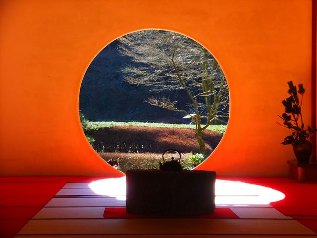 明月院(あじさい寺)