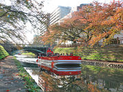 ふじさんさんの松川遊覧船の投稿写真1