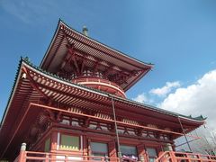 成田山新勝寺の写真2