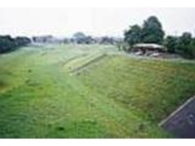 自然多い_いろは親水公園