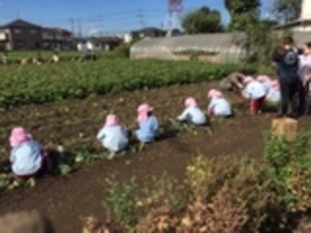 並ぶ_武藤園