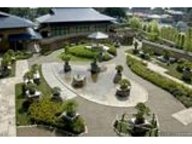 多くの_さいたま市大宮盆栽美術館