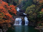 まつりさんの特別名勝 三段峡の紅葉の投稿写真1