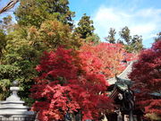 まろさんの高尾山ケーブルカー・二人乗り観光リフトの投稿写真1