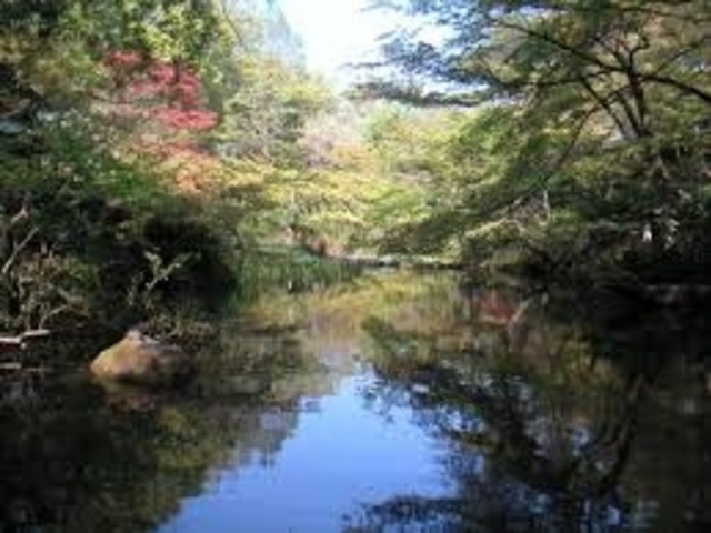 見事な日本庭園_根津美術館