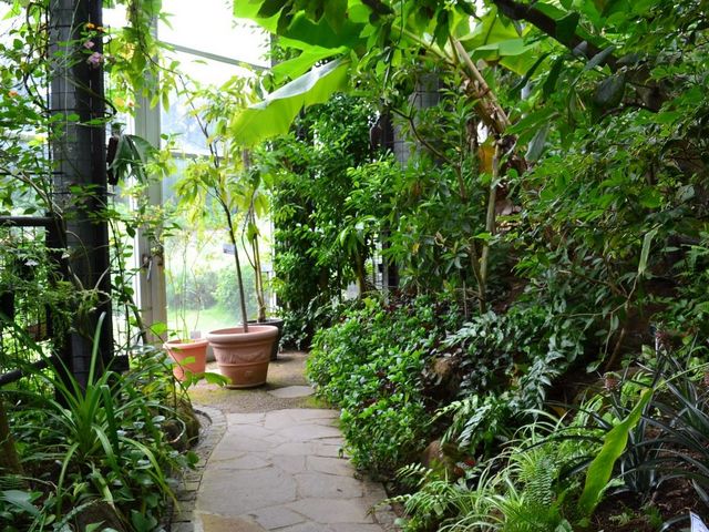ハウス_三陽メディアフラワーミュージアム(千葉市花の美術館)
