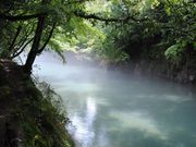 ぬこぬこさんの長田峡の投稿写真1