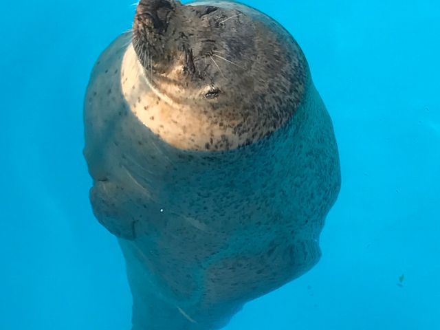 入浴中_オホーツクとっかりセンター