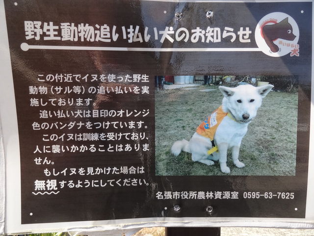 極楽寺