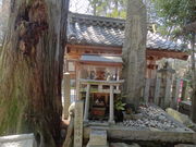やんまあさんの宇流冨志禰神社の投稿写真1