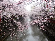 しどーさんの船町の投稿写真1