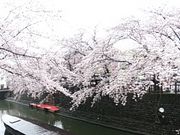 世田谷区等々力の住人さんの奥の細道むすびの地の投稿写真1