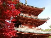 raspberryさんの井山宝福寺の投稿写真1