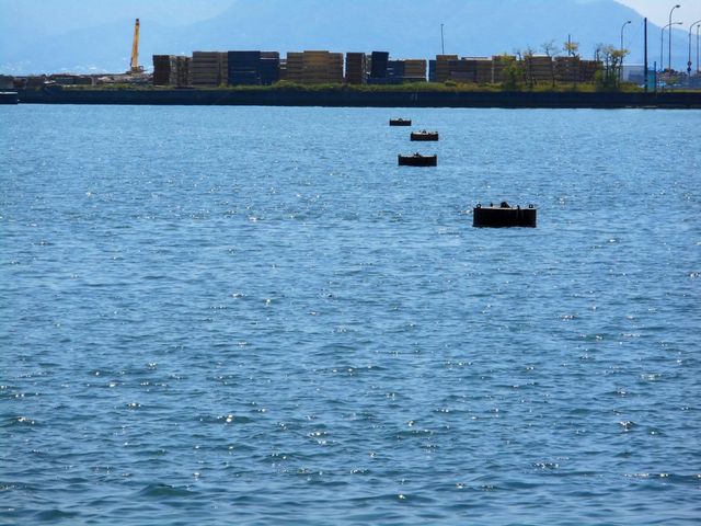 Jちゃんさんの廿日市木材港の投稿写真1