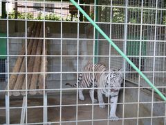 みいたんさんのしろとり動物園への投稿写真1