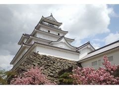 鶴ヶ城(若松城)の写真1