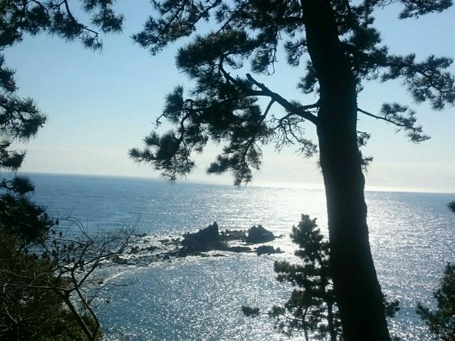 ピコリンさんの県立真鶴半島自然公園の投稿写真1