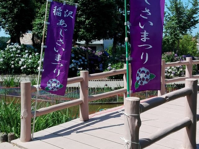 あじさい_大塚性海寺歴史公園