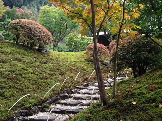 奥殿陣屋