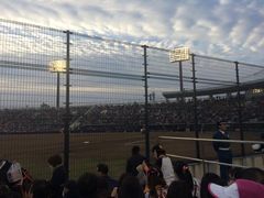 jinxボーイさんの敷島公園への投稿写真1