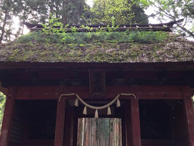 戸隠神社