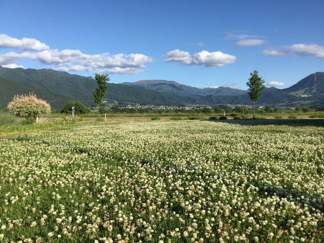 道の駅 花の駅・千曲川